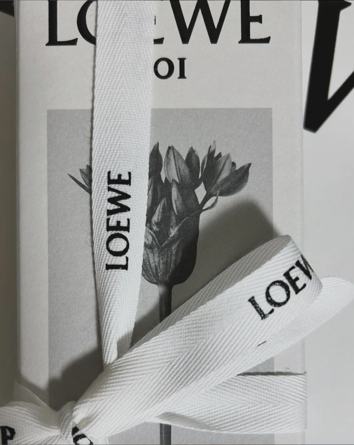 Estuche de la gama con la cinta de la casa, en blanco y negro.